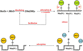 Graphical Abstract Image