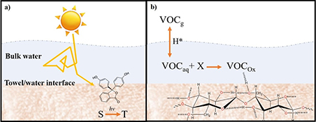 Graphical Abstract Image