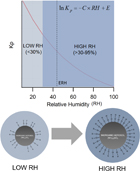 Graphical Abstract Image