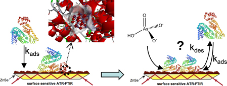 Graphical Abstract Image