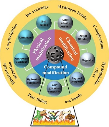 Graphical Abstract Image