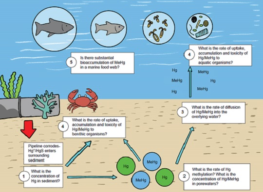 Graphical Abstract Image