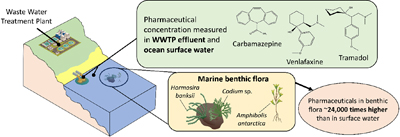 Graphical Abstract Image