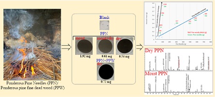 Image of burning pine needles, filters of the particulate matter collected, and the identity of its composition.