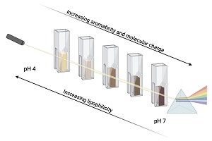 Diagram of samples at differing pH showing trends in colour, lipophilicity, aromaticity and charge.