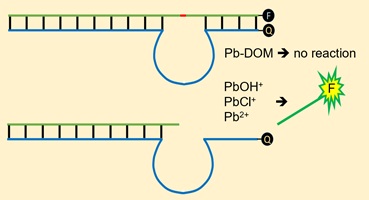 Schematic representation of the Pb species induced cleavage reaction of DNAzyme GR5.