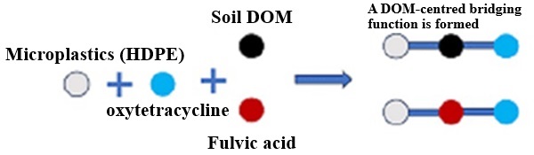 FT-IR spectra of HDPE and HDPE bound to fulvic acid and oxytetracycline.