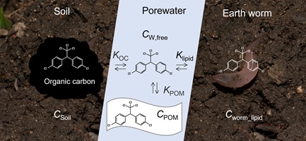 DDT molecules superimposed on soil, porewater and an earthworm to illustrate partitioning.