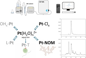 A schematic of structures of platinum species formed in modelled natural water.