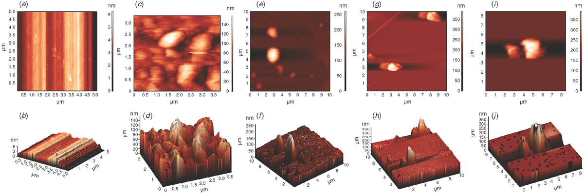サブオーダー Dynamics of SARS-CoV-2 Variants of Concern in Vaccination
