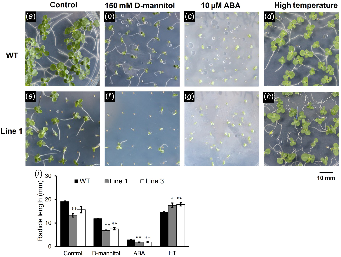 CSIRO PUBLISHING | Functional Plant Biology