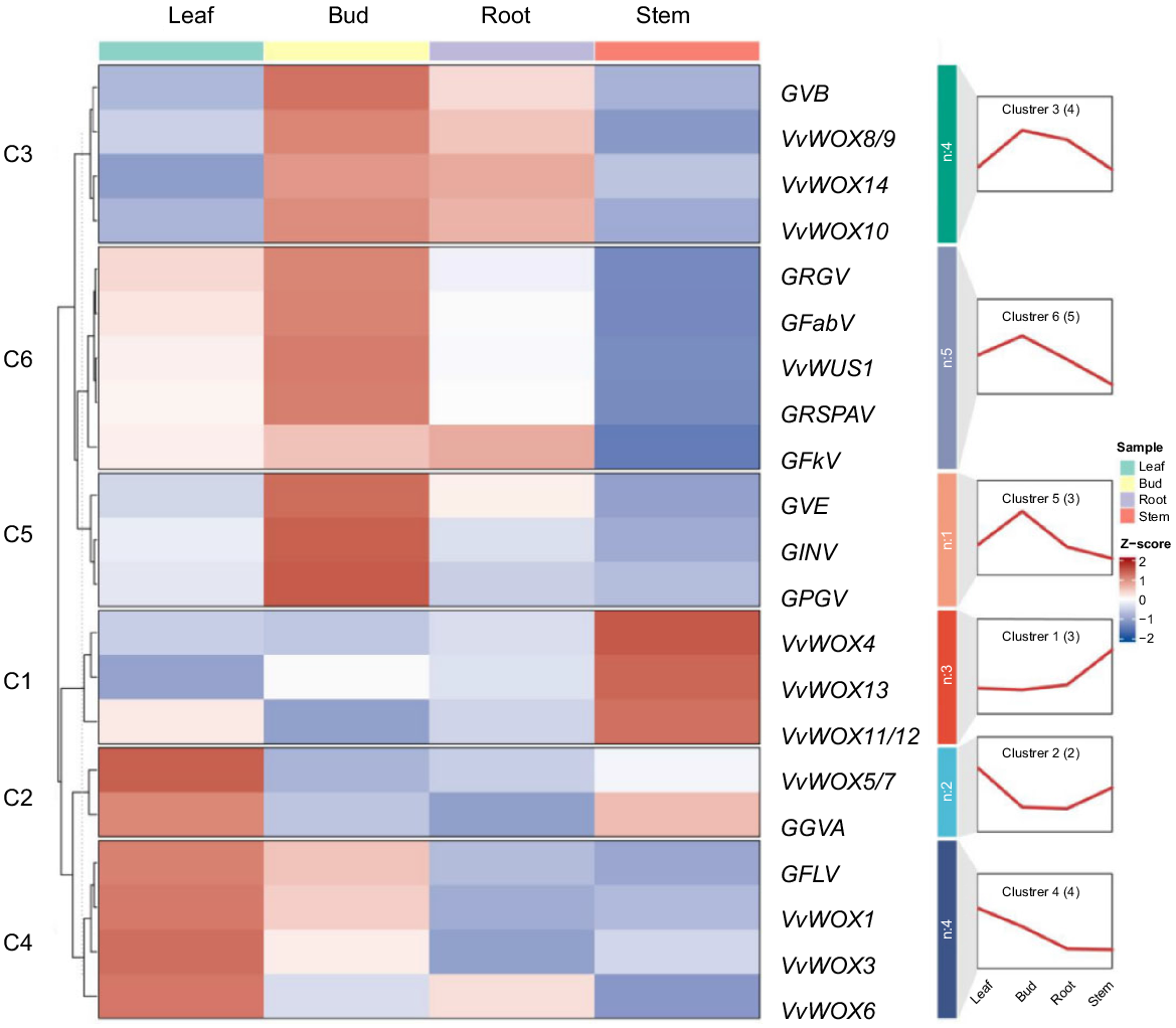A Structure Identification Method for Urban Agglomeration