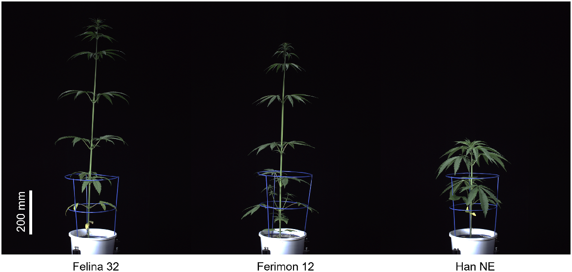 FP24266_F2.gif