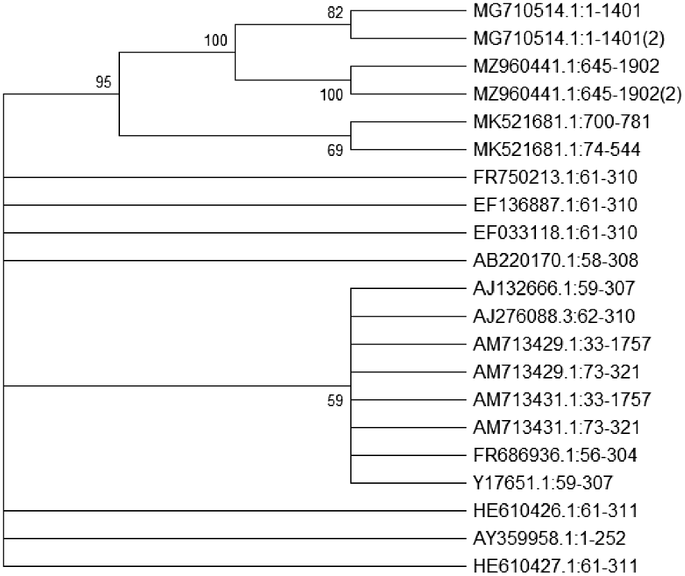 FP24326_F9.gif