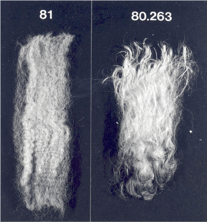 HR23004_F8.gif