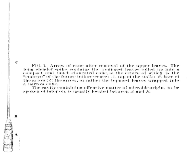 HR23011_F1.gif