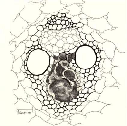 HR23011_F4.gif