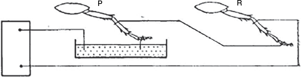 HR25004_F6.gif