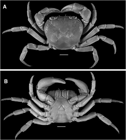 Related image