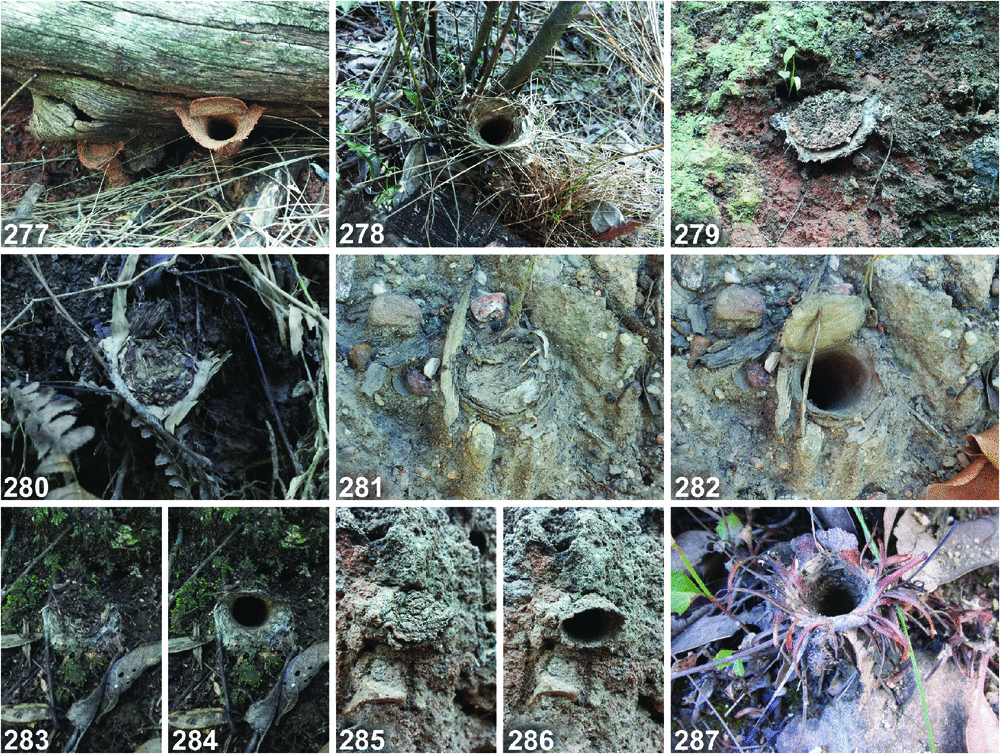 Csiro Publishing Invertebrate Systematics