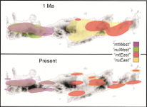 Graphical Abstract Image