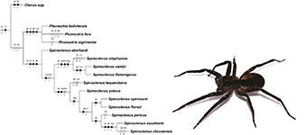 Graphical Abstract Image