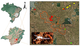 Graphical Abstract Image