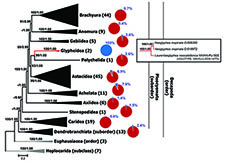 Graphical Abstract Image