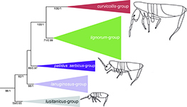 Graphical Abstract Image