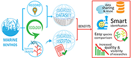 Graphical Abstract Image