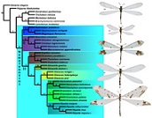 Graphical Abstract Image