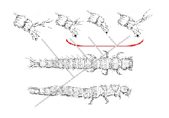 Graphical Abstract Image