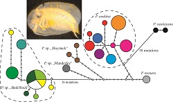 Graphical Abstract Image