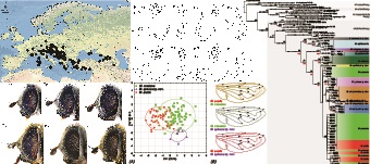 Graphical Abstract Image