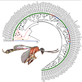 Graphical Abstract Image