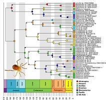 Graphical Abstract Image