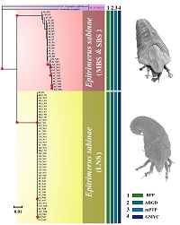 Graphical Abstract Image