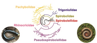 Graphical Abstract Image