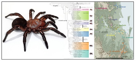 Graphical Abstract Image