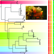 Graphical Abstract Image