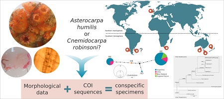 Graphical Abstract Image