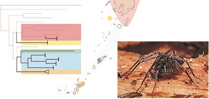 Graphical Abstract Image