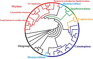 Graphical Abstract Image