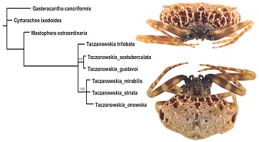 Graphical Abstract Image