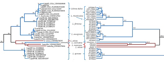 Graphical Abstract Image