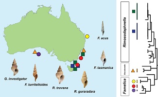 Graphical Abstract Image