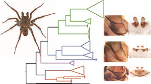 Graphical Abstract Image