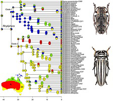 Graphical Abstract Image