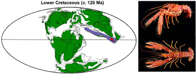 Graphical Abstract Image