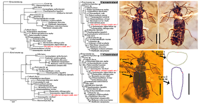 Graphical Abstract Image